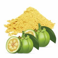 Garcinia Cambogia en Polvo Puro