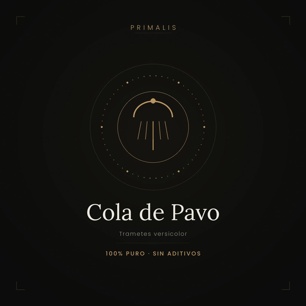 Cola de Pavo (Trametes versicolor) en polvo puro — Primalis
