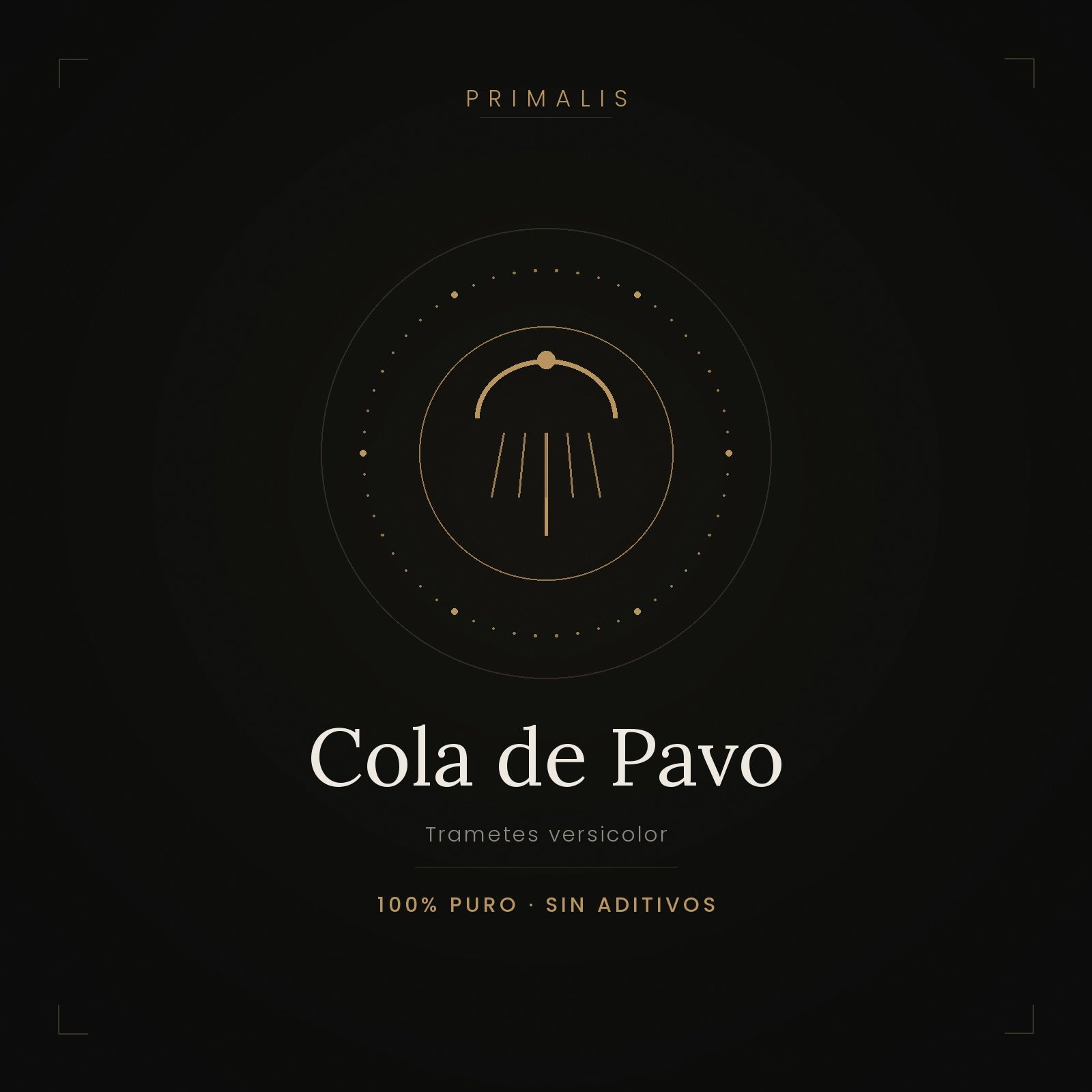 Cola de Pavo (Trametes versicolor) en polvo puro — Primalis