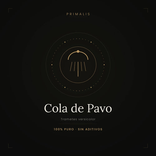 Cola de Pavo (Trametes versicolor) en polvo puro — Primalis
