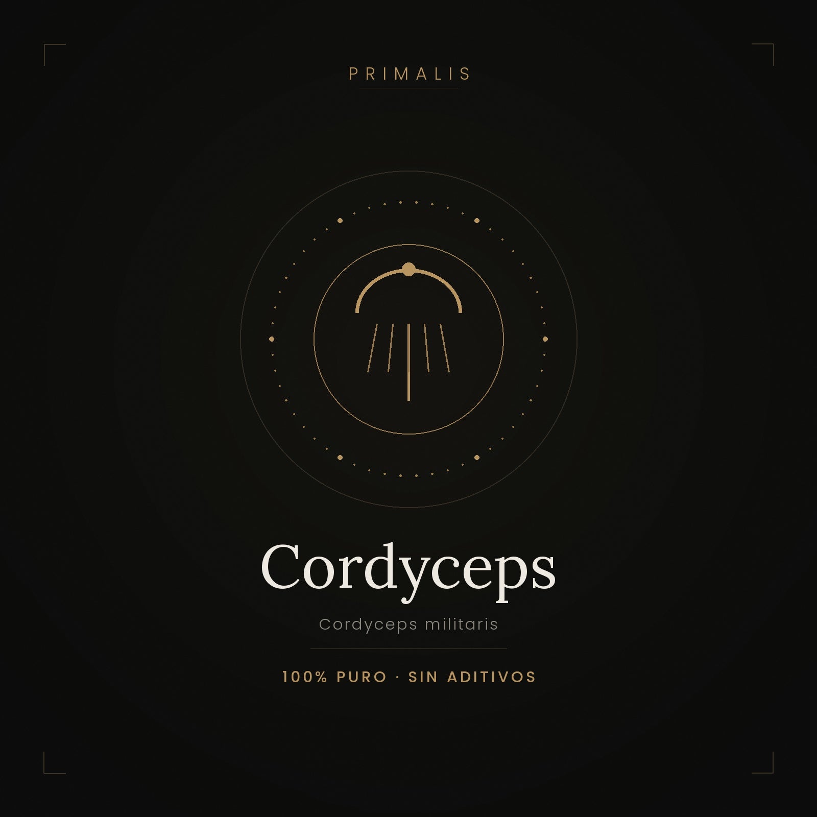 Cordyceps militaris en polvo puro — Primalis, 100% puro sin aditivos