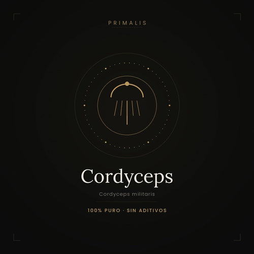 Cordyceps militaris en polvo puro — Primalis, 100% puro sin aditivos