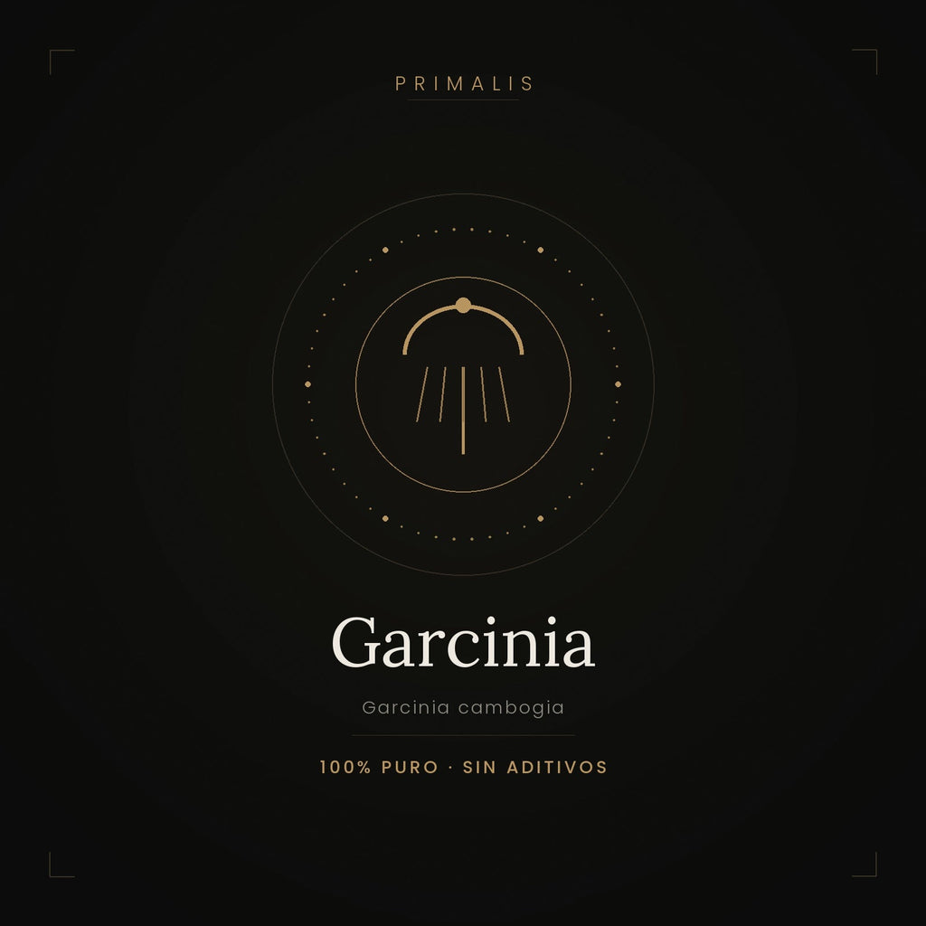 Garcinia Cambogia en polvo puro — Primalis