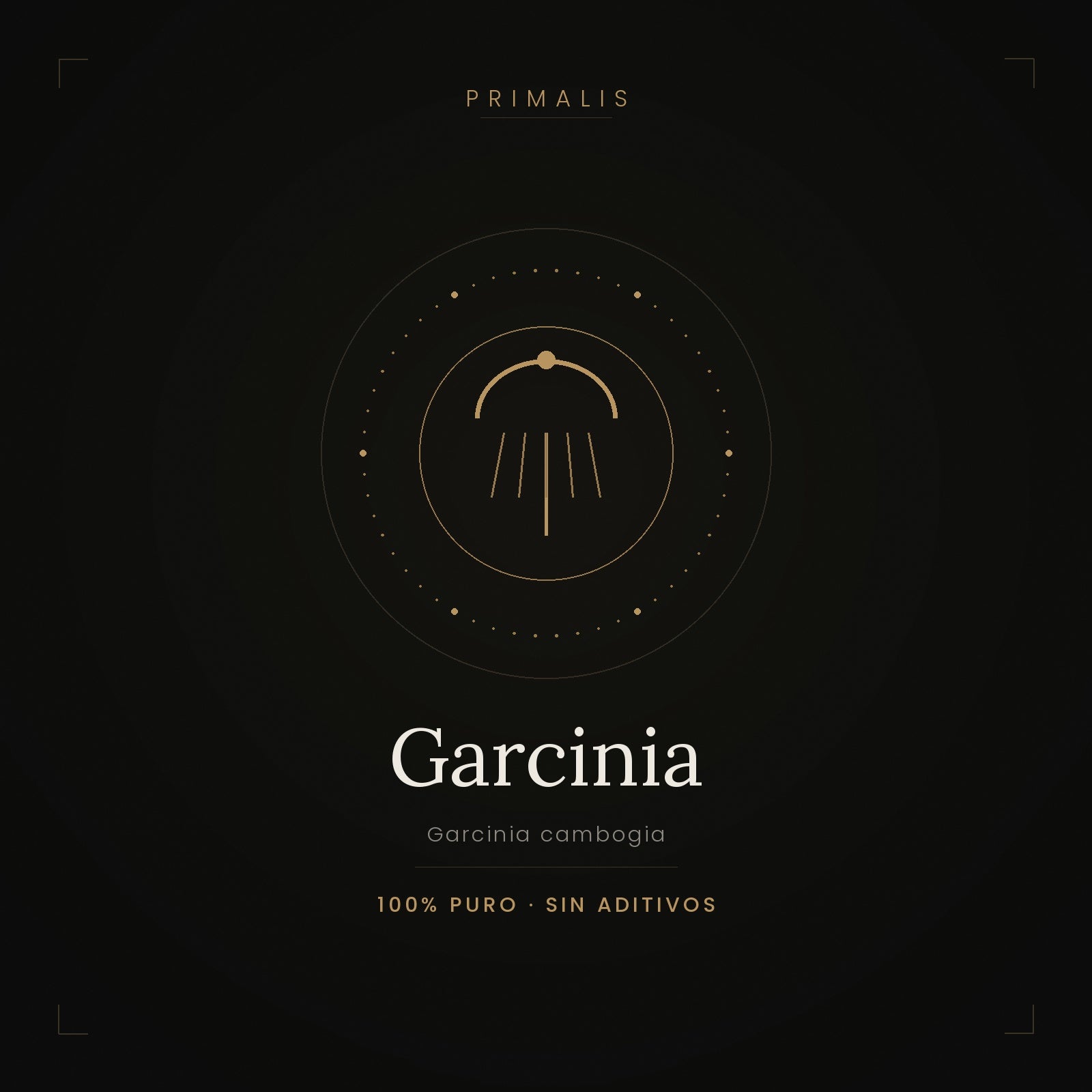 Garcinia Cambogia en polvo puro — Primalis