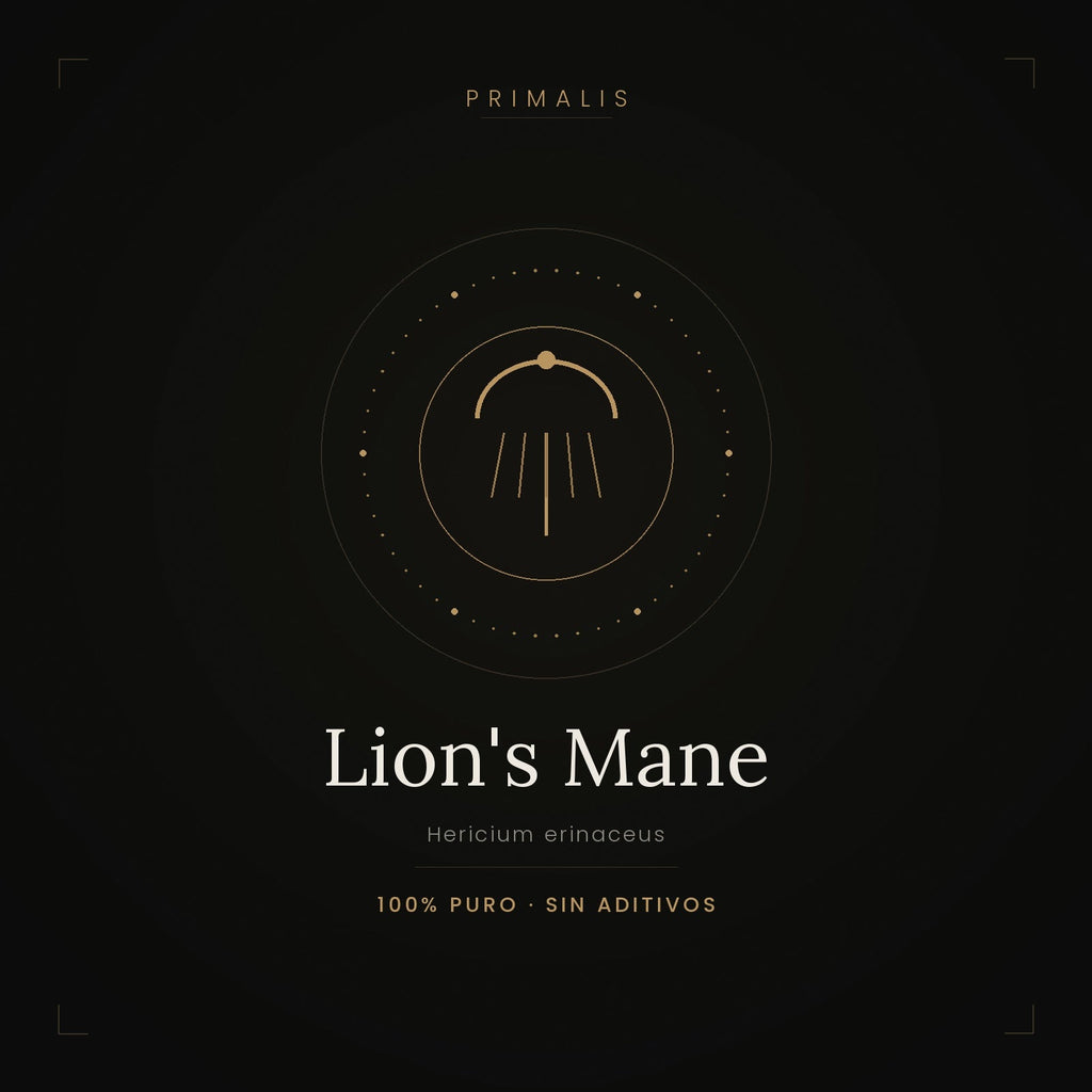 Lion's Mane (Hericium erinaceus) en polvo puro — Primalis