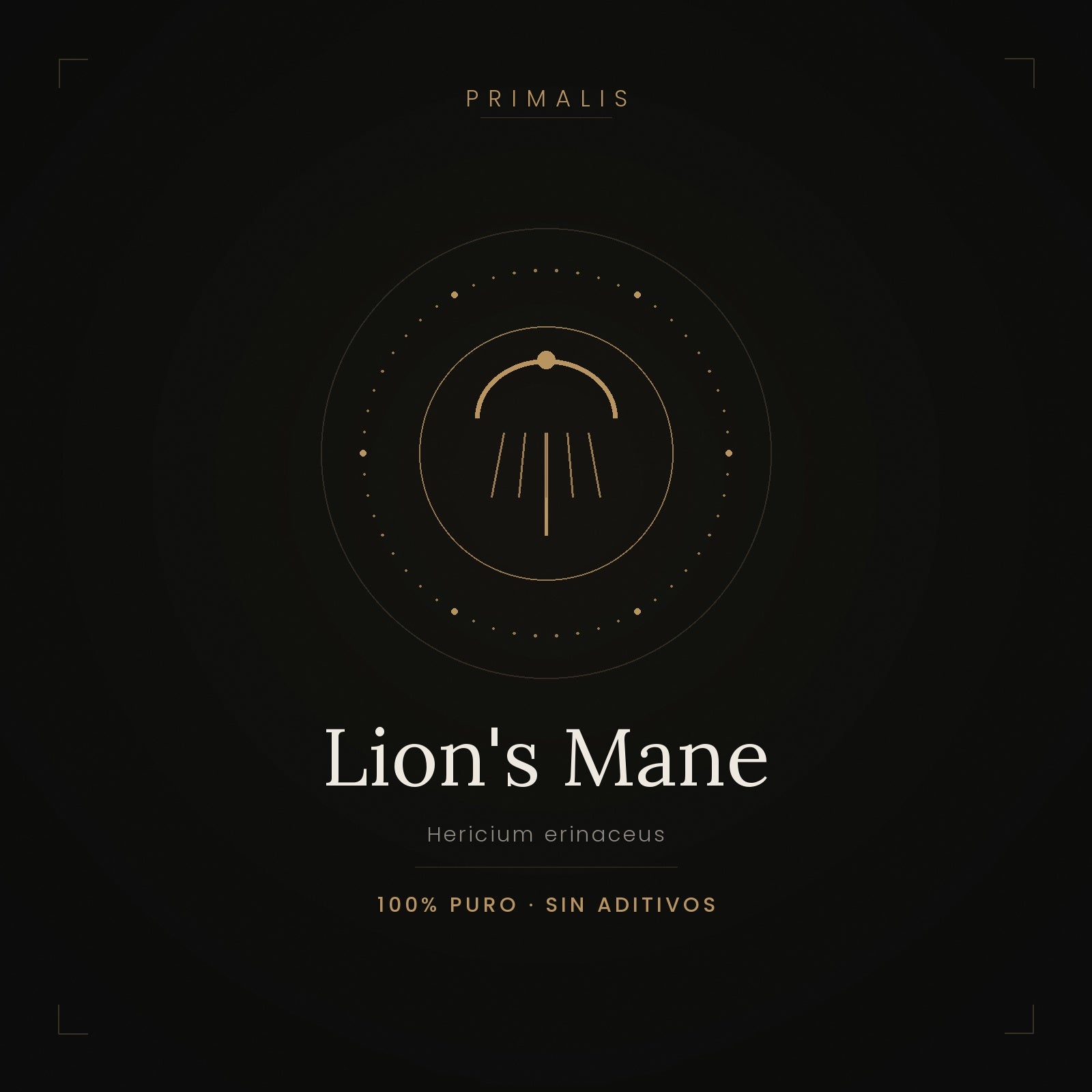 Lion's Mane (Hericium erinaceus) en polvo puro — Primalis