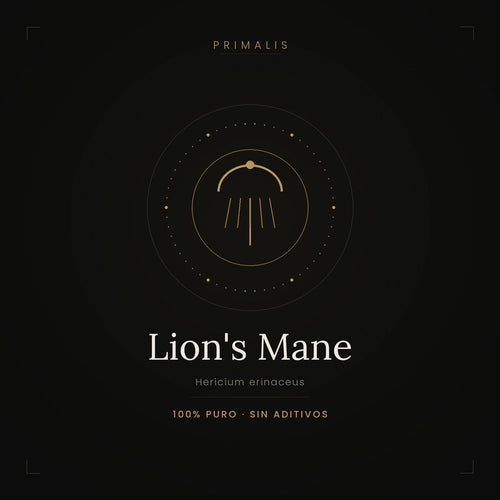 Lion's Mane (Hericium erinaceus) en polvo puro — Primalis