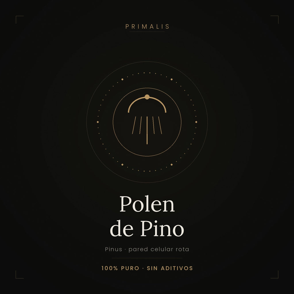 Polen de pino puro en polvo — Primalis
