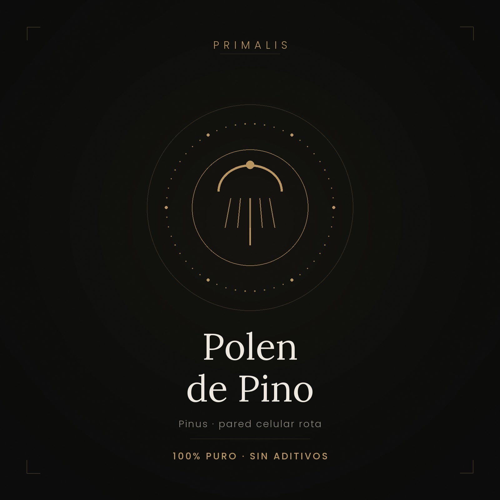 Polen de pino puro en polvo — Primalis